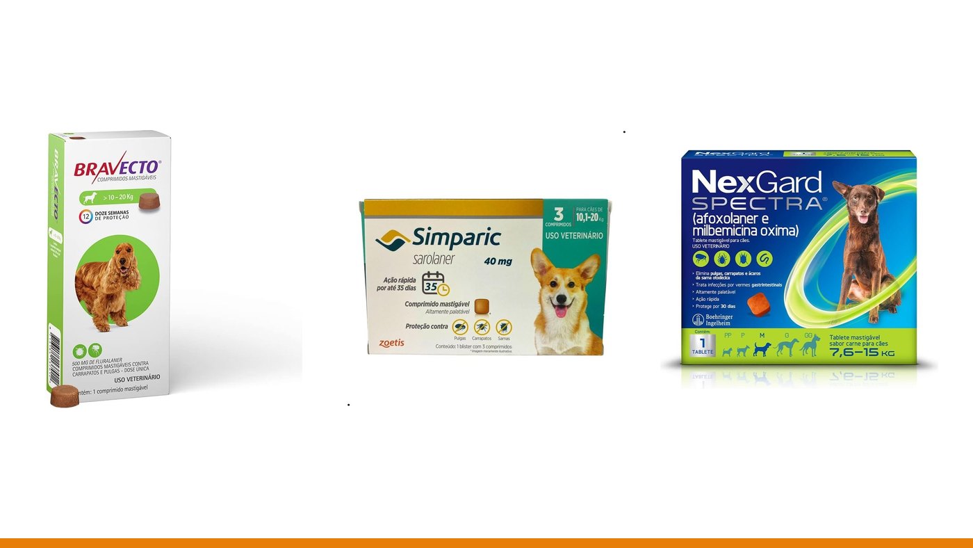 Os 7 melhores antipulgas para cachorro em 2026