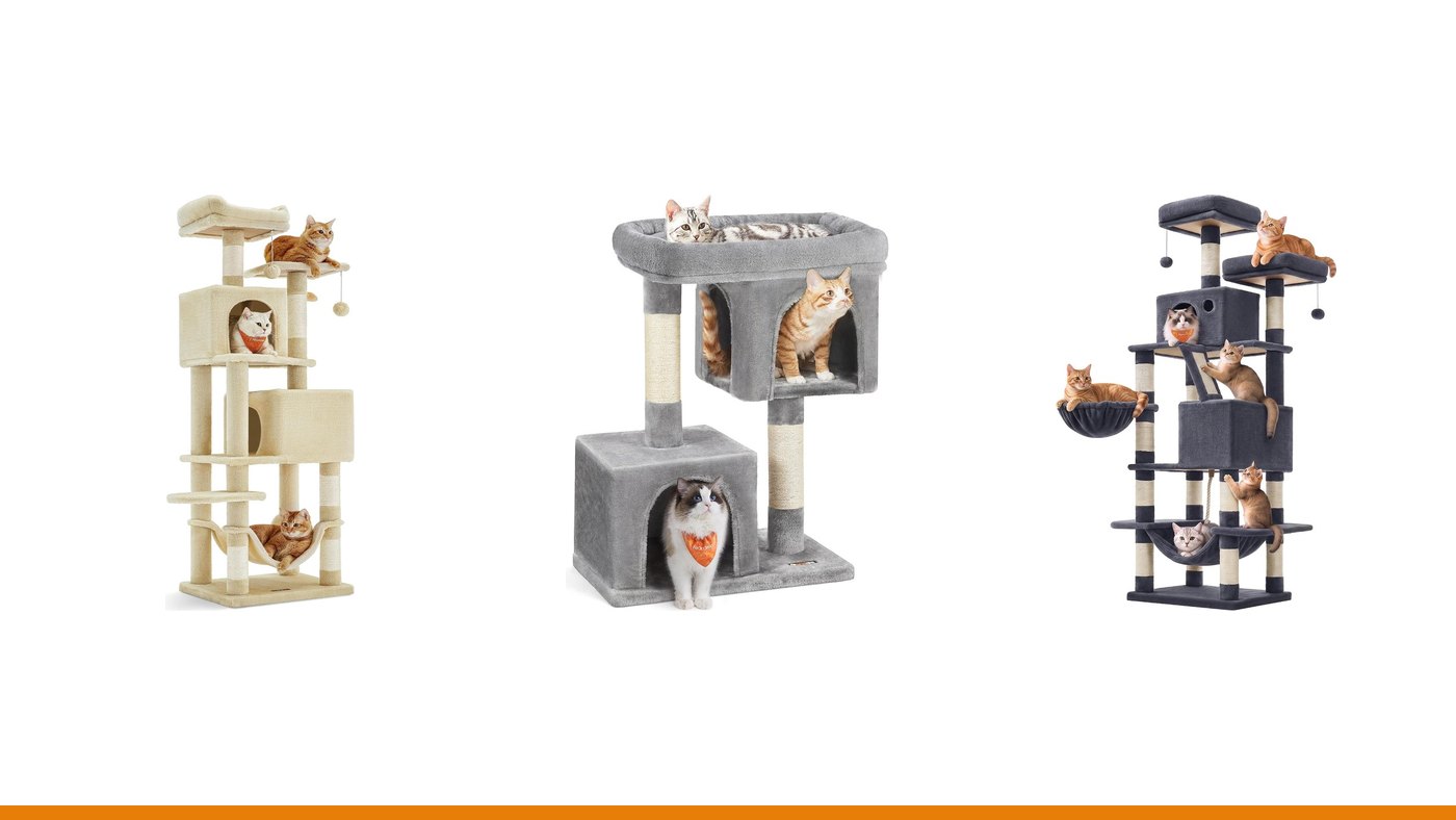 Os 6 melhores arranhadores e árvores para gatos em 2026