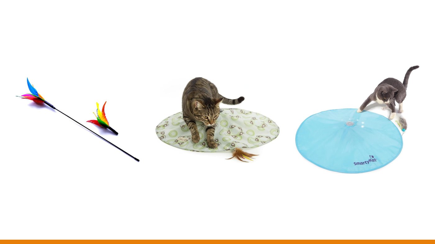 Os 6 melhores brinquedos interativos para gatos em 2026