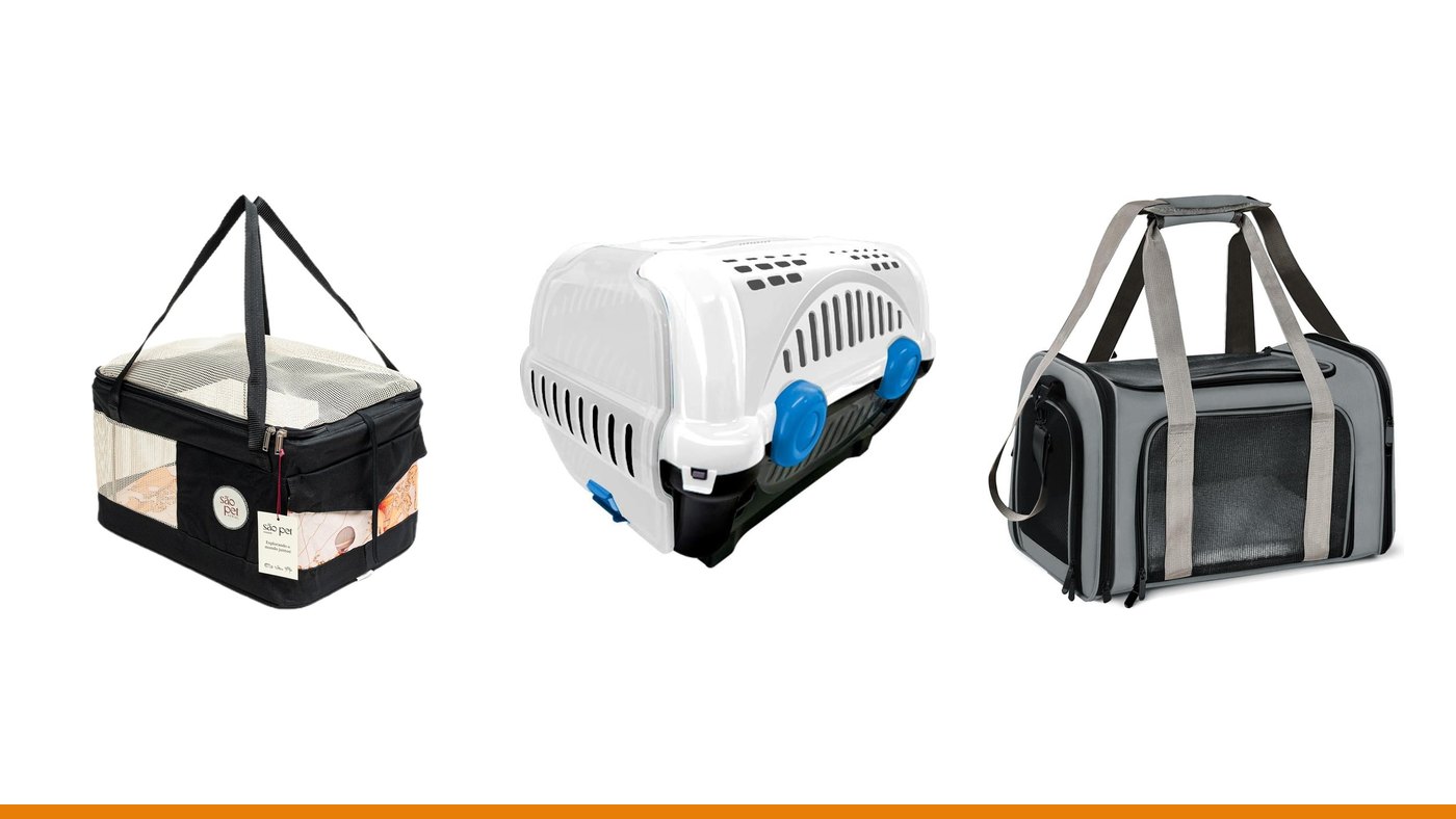As 6 melhores caixas e bolsas de transporte para gatos em 2026