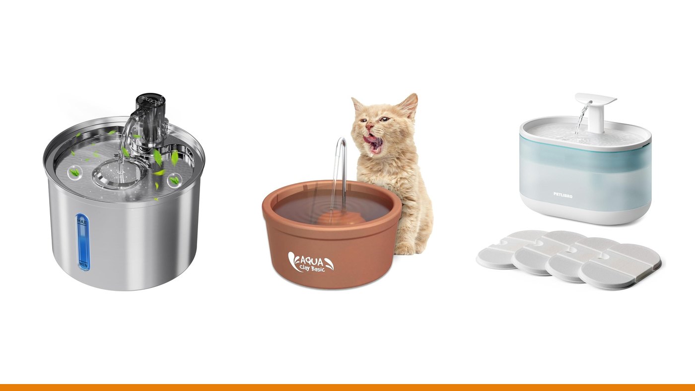 As 6 melhores fontes de água para gatos em 2026