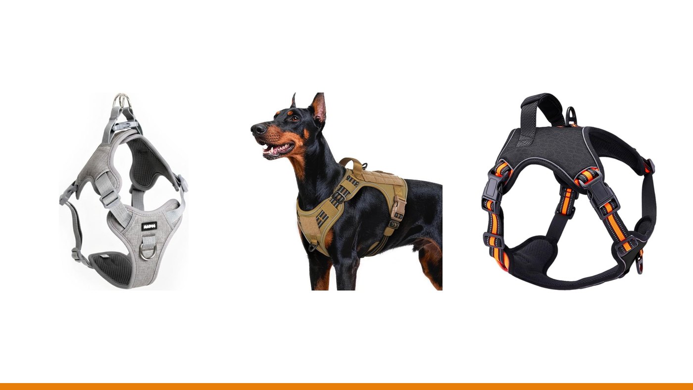 Os 6 melhores peitorais para cachorro que puxa em 2026